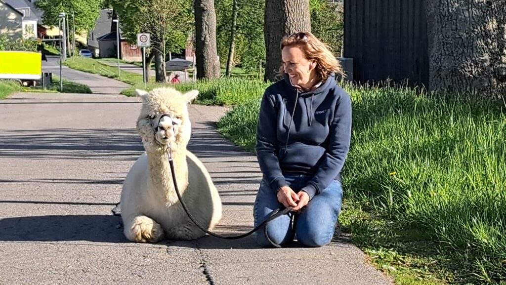 Alpakawandern mit Stärkenscouts Michaela May